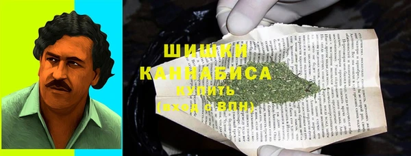 ПСИЛОЦИБИНОВЫЕ ГРИБЫ Дмитриев