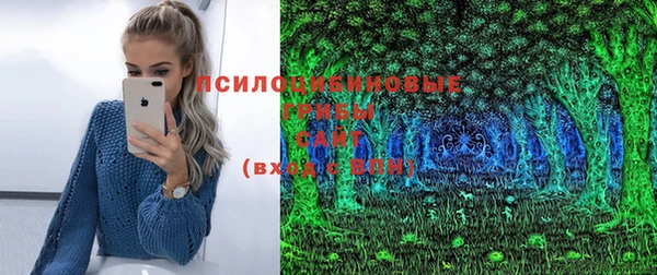 молекула духа Гусев