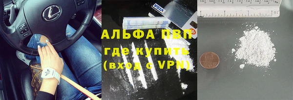 прущие грибы Дмитровск