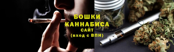 ПСИЛОЦИБИНОВЫЕ ГРИБЫ Дмитриев