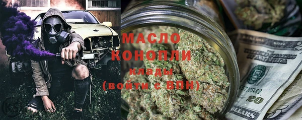 молекула духа Гусев