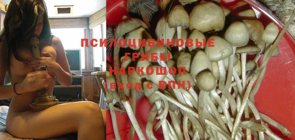 молекула духа Гусев