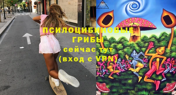 прущие грибы Дмитровск