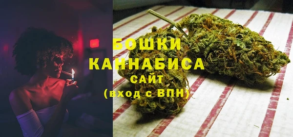 молекула духа Гусев