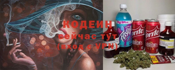 ПСИЛОЦИБИНОВЫЕ ГРИБЫ Дмитриев