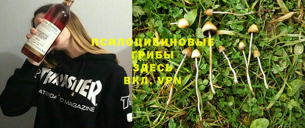 дживик Дмитров