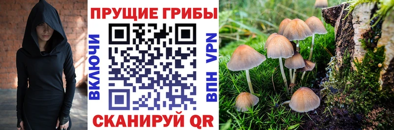 Купить где  Александровск-Сахалинский  Псилоцибиновые грибы ЛСД 